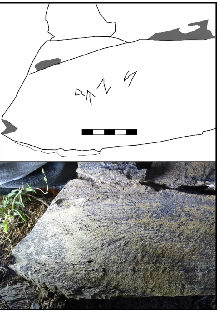 Fig. 5.- Panneau 2 de la roche 35 de la zone 2 d’Osséja 