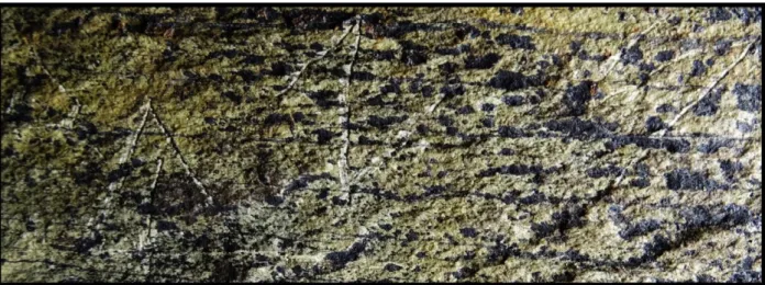 Fig. 6.- Détail de l’inscription du panneau 2 de la roche 35 de la zone 2 d’Osséja. 
