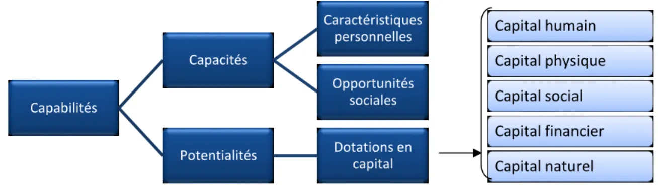 Figure 4.  Capabilités : Fondements et concepts clés 