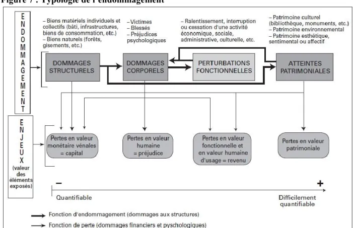 Figure 7 : Typologie de l’endommagement 