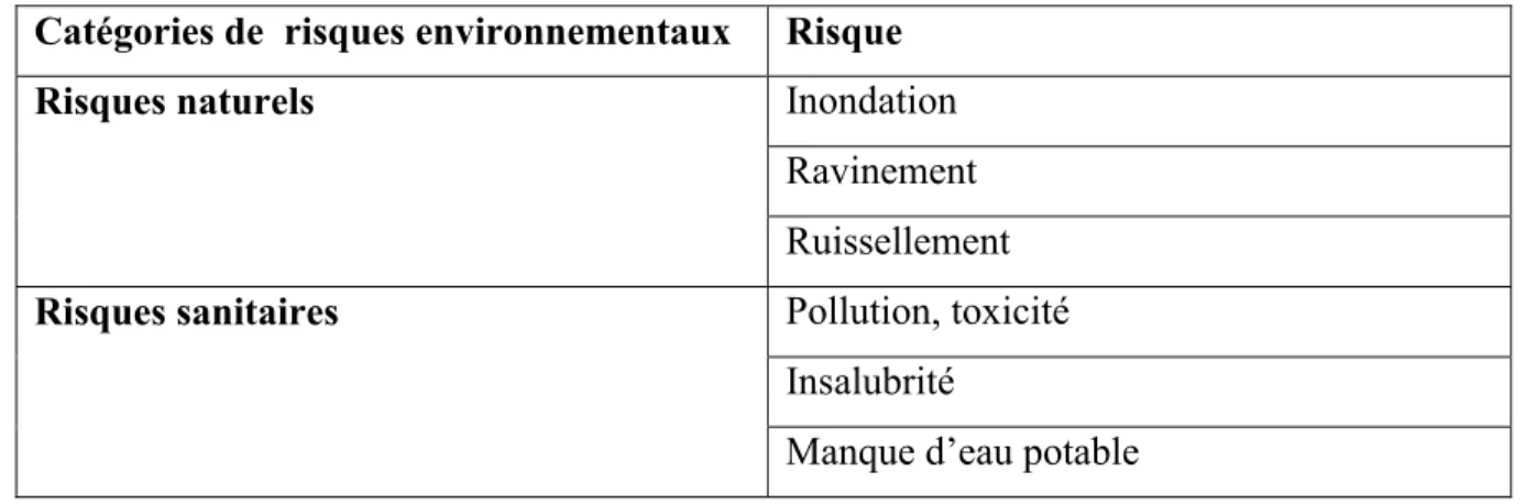 Tableau 1: Proposition de classification des risques environnementaux  Catégories de  risques environnementaux  Risque 