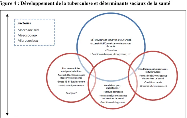 Figure 4 : Développement de la tuberculose et déterminants sociaux de la santé 