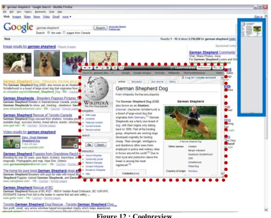 Figure 12 : Coolpreview 