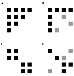 Figure 3.3 Illustration of the nested and modular structure of networks, represented as matrices