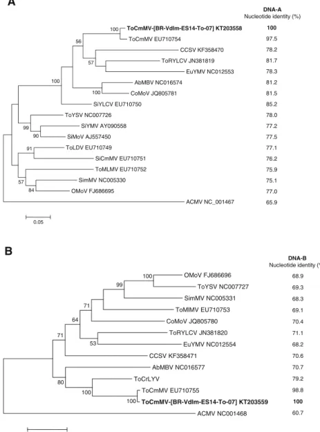 Fig. 1 Phylogenetic trees based upon an alignment of the nucleotide sequences of DNA-A (a) and DNA-B (b) components of the begomovirus described in this work (Tomato common mosaic virus-[Brazil-Venda Nova do Imigrante-ES14-Tomato-2007], acronym ToCmMV-[BR-