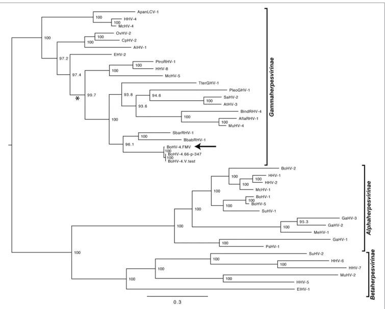FigUre 3 | Molecular phylogeny of the DNA polymerase (DPOL) gene of various herpesvirus species