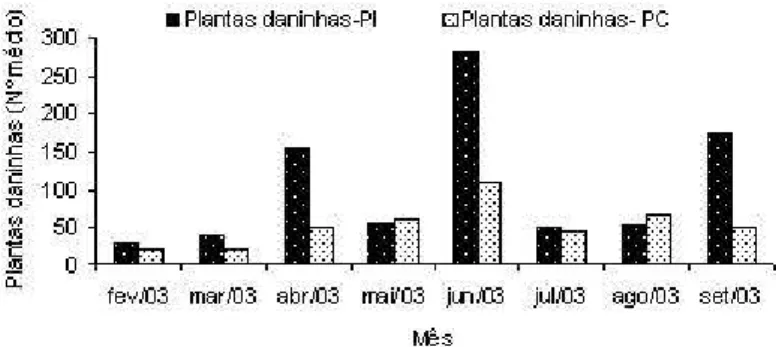 FIGURA 2 – Número médio de plantas daninhas hospedeiras de pulgão encontradas em lavouras de mamão sob dois sistemas de produção, Espírito Santo, 2003.