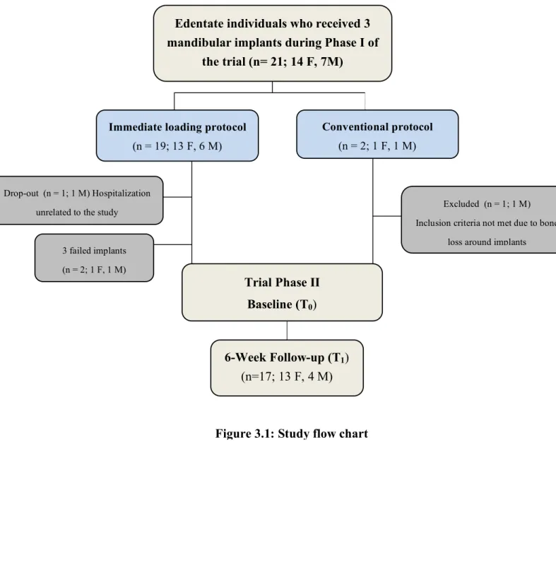 Figure 3.1: Study flow chart 
