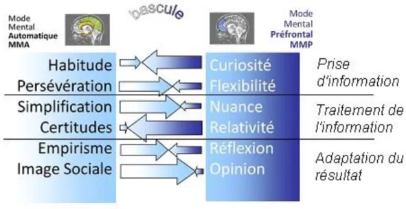 Figure 3 : L’Intelligence du Stress 