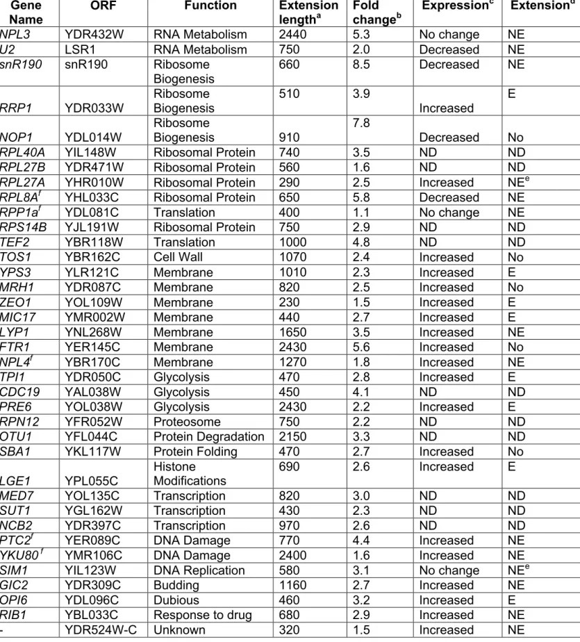 Table 2: Genome-wide screen for RNT1 dependent transcription termination  Gene 