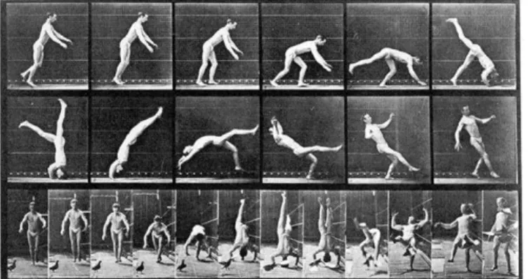 Figure 1. “Head-spring – A Flying Pigeon Interfering” (Muybridge, 1887). 