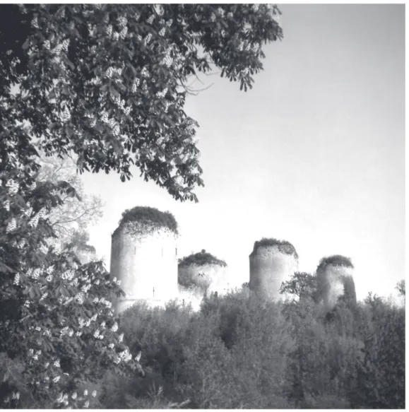 Fig. 1.— Château du Coudray-Salbart (Cl. Crozet, avant 1954-CESCM)