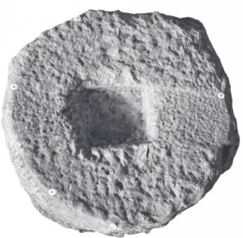 Fig.  8  —  Relevé de la base (N. Trippé).