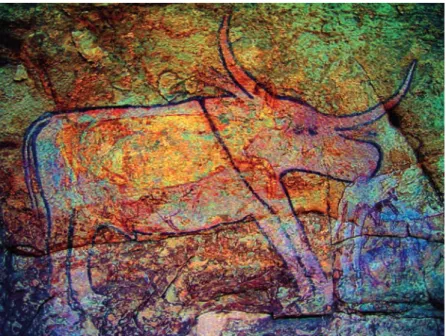Figure 60 – Séfar (Tassili-n-Ajjer, Algérie). Détail : antilope incluse dans  un bovin (cliché : L’Y
