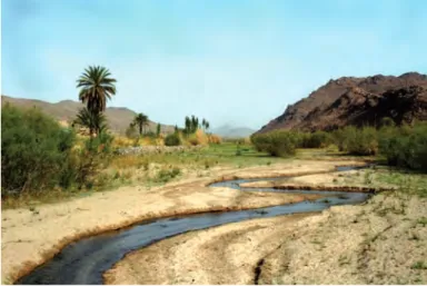 Figure 66 – Oasis de Mertoutek (Hoggar, Algérie). L’écoulement naturel de  l’oued Mertoutek fait oublier sa situation au cœur du Sahara 