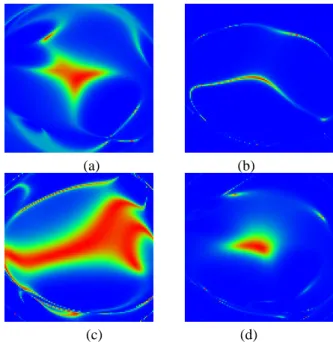 Fig. 1. Representation of f (e c ) on [− π 3 ; π 3 ] × [− π 3 ; π 3 ] for the “whale”