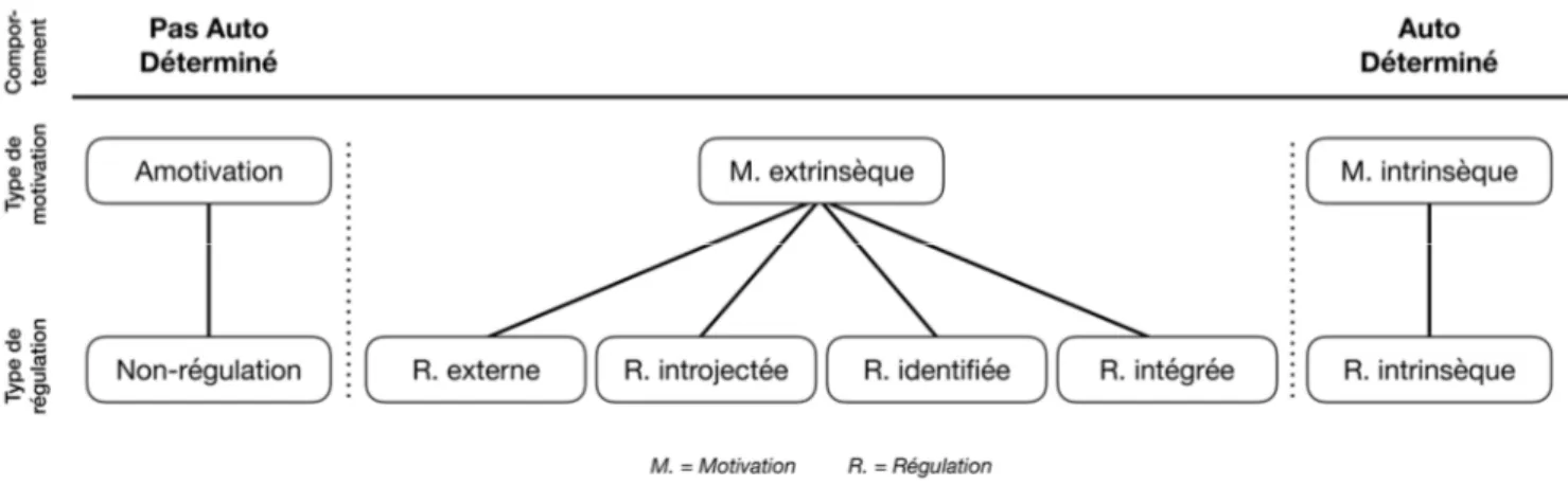 Figure 2 : Le continuum d’autodétermination, montrant les différentes motivations et régulations