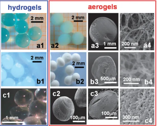 Figure 8. Optical and scanning electron microscopy (SEM) images of hydrogel state (first column)  and aerogel spheres (second column) after drying and of cross-sections of aerogel spheres (third and  fourth columns) of Cu-alginate (row a), chitosan (row b)