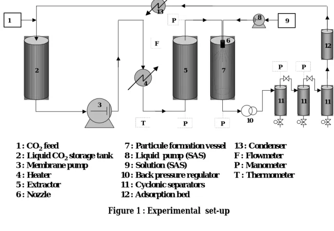Figure 1 : Experimental  set-up 