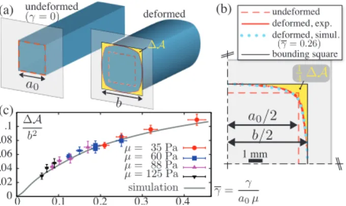 FIG. 2: Rounding of the edges of an initially square based prism made of polyacrylamid gel, immersed in silicone oil.