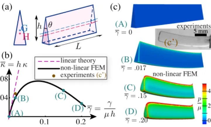 FIG. 3: Bending of a triangular prism by uniform surface stress. (a) Initial geometry