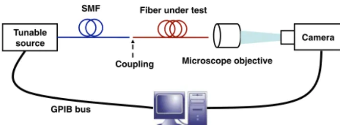 Fig. 3. (Color online) Experimental setup for the new technique.