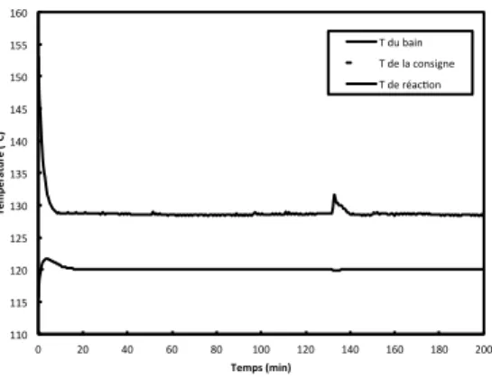 Figure 1. Exemple de profil de température : ici, pour une consigne opératoire de 120 °C