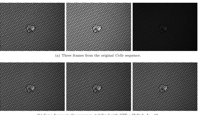 Fig. 4.6. (a) Three images from the Cells sequence [18] showing important flicker-like effects