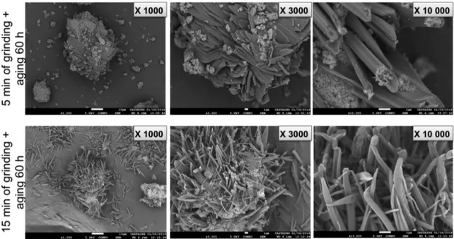 Figure 15. SEM analyses of triazole 13 adsorbed on pyrogenic S13 silica after 5 min (top) and 15 min of grinding (bottom) and after 60 h of aging.