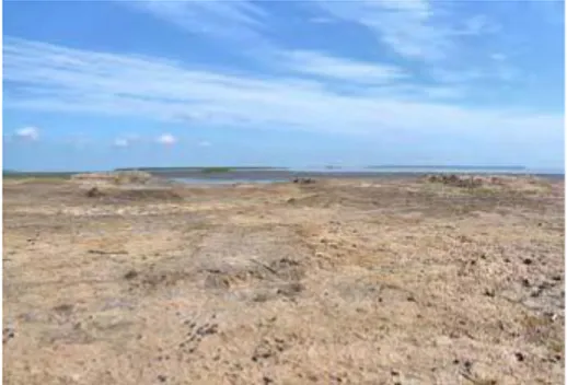 Fig. 1 Saline (terres alcalines salées) au bord du site médiéval  de fabrication de sel de terre de Yinjiawopu, sur la rive sudouest 