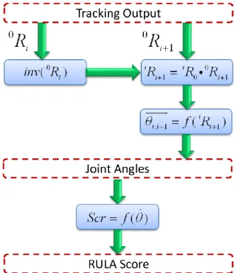 Fig.  4.  RULA  score  computation.  i R i  1   is  the  rotation  matrix  of  segment  i+1  relative  to  segment i and   i i , 1    is the vector containing functional joint angles of the joint between i and  i+1