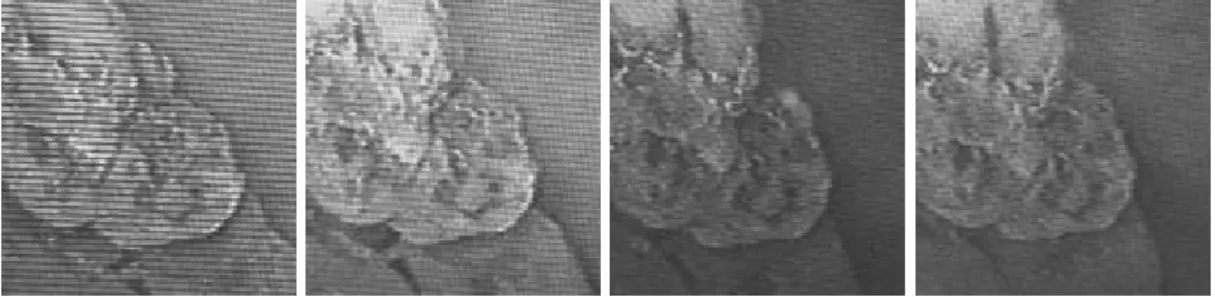 Figure 10. One image over 25 of the "rocks" sequence acquired during stabilization
