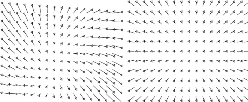 Figure 11. Positioning the camera parallel to a plane : current (a) and desired (b) 2D motion field