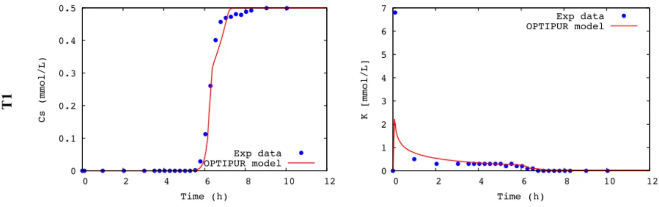 Fig.  8  also  shows  the  breakthrough  curve  of  K +   for  each  experiment.  In  good  agreement  with  the  experimental  data,  modeling  gives  an  early  pulse  that  results  from  the  competitive  exchange  of  K +   by  Ca 2+  and  Mg 2+   cat