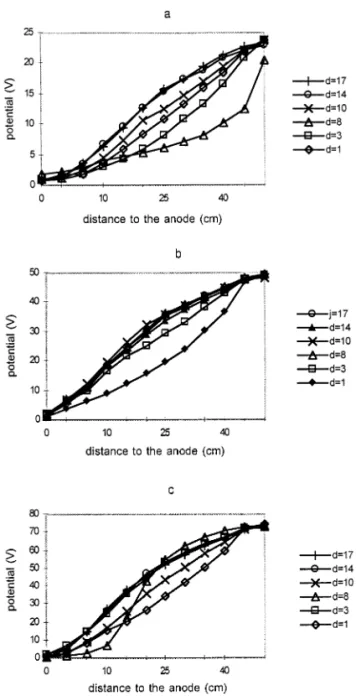 Fig. 2. Evolution of the electric potential distribution, mea- mea-sured in the cells