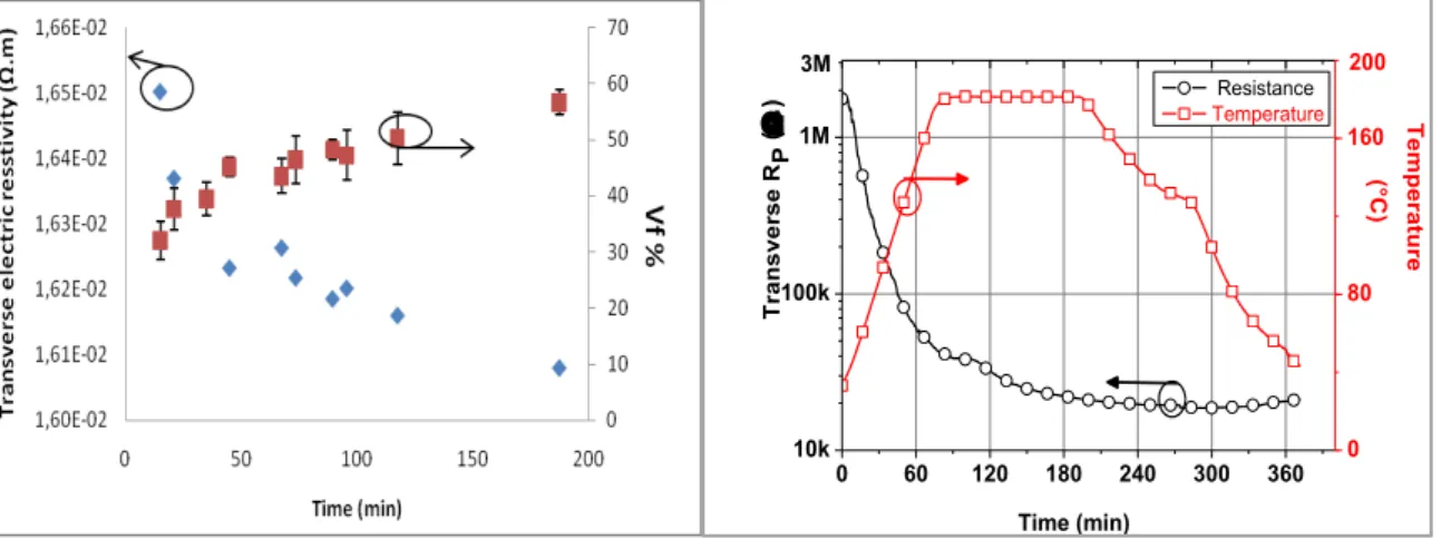 Figure 6: Transverse electrical resistivity: predicted from the percolation model (a)and measured using R p