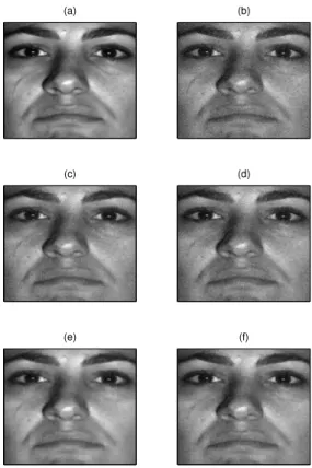 Fig. 11. Face image denoising. Top row: original face (left), noisy face (right). Denoising results using (7)