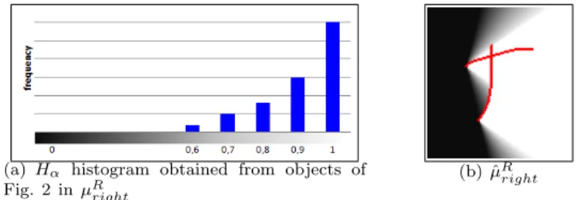 Figure 3 Histogram model (a) and resulting learned fuzzy landscape (b) for point of view right, with training objects similar to the (R, A) pair from figure 2