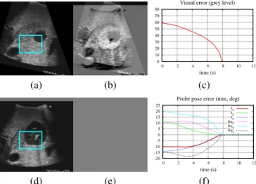 Fig. 8. Positioning task with a 3D probe, using visual features extracted from a 3D volume