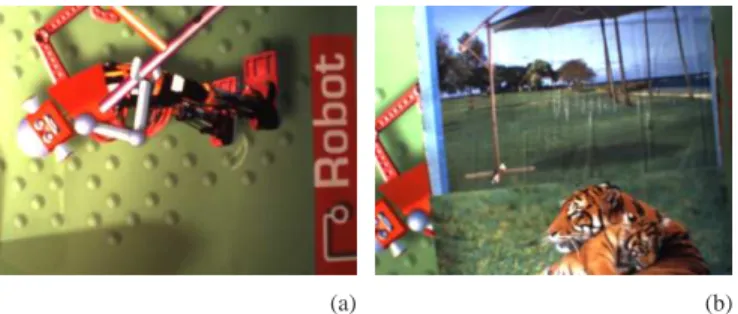Fig. 2. Initial images. (a) For the first experiment. (b) For the second experiment.  0 0.2 0.4 0.6 0.8 1 1.2  0  200  400  600  800  1000  1200GLR1LG1LRG1LR2LG2LGB2 (a) -0.1  0  0.1  0.2  0.3  0.4  0.5  0.1  0.15  0.2  0.25  0.3  0.35  0.4  0.45 0.2 0.15 