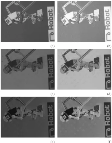 Fig. 6. Initial images. (a) For the third experiment. (b) For the fourth experiment.  0 0.2 0.4 0.6 0.8 1 1.2  0  200  400  600  800  1000  1200  1400RLB1LGB1LR2Lum (a) -0.1  0  0.1  0.2  0.3  0.4  0.5  0.1  0.15  0.2  0.25  0.3  0.35  0.4  0.45  0.5 0.3 0