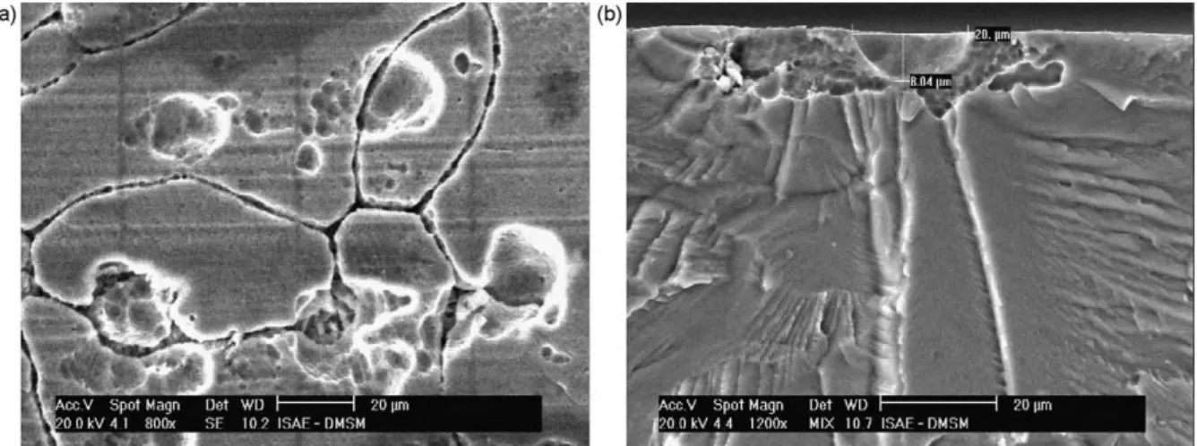 Fig. 6. (a) Pickling process resulting in the pit and (b) fatigue crack initiated from one of pit formation at grain boundaries at the surface.