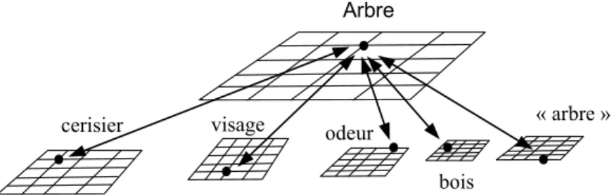 Figure 4.4 – Un « concept » implique l'activation de multiples neurones   au sein de plusieurs cartes.