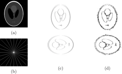 Figure 8: Recovery of 256 × 256 Shepp Logan phantom image. (a) Original Image. (b) Sampling locations of Fourier coefficients