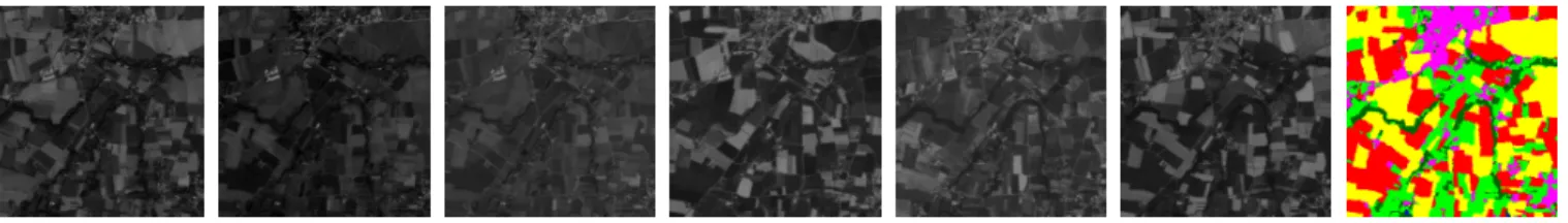 Fig. 2: From left to right: SITS frames and colored ground truth
