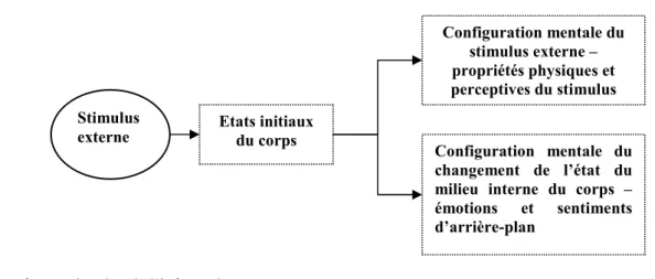 Figure 3 -  1. Schéma de deux types de configuration mentale formée à partir d’un stimulus externe 