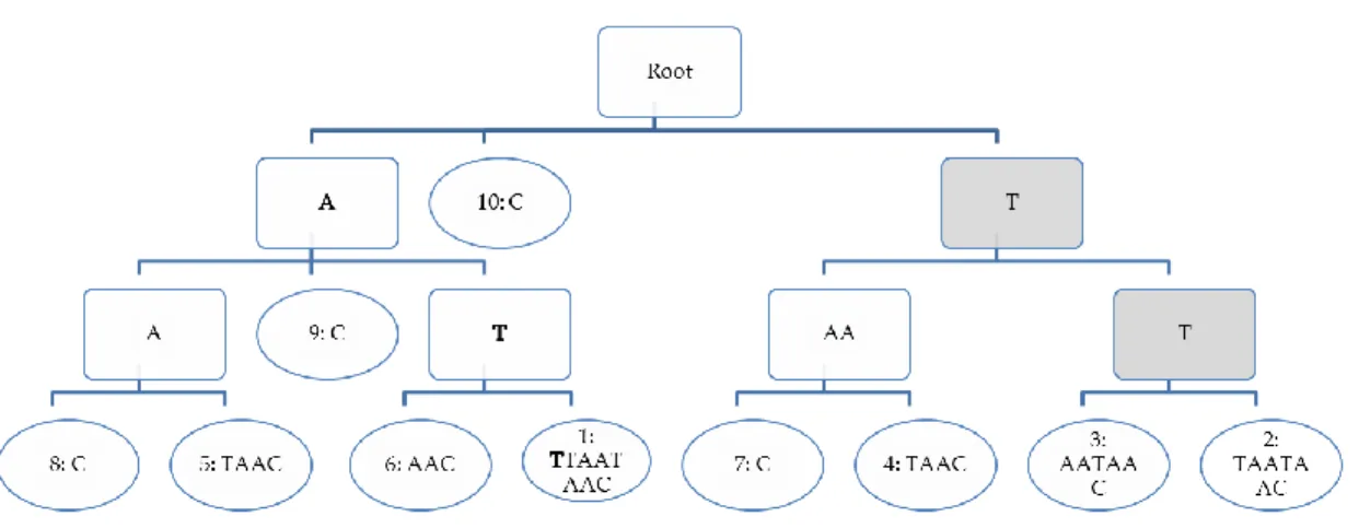 Figure 1: Suffix- tree representation for the text ATTTAATAAC. The top square is the root of the tree