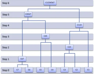 Fig. 2. Schematic representation of the agglomerative hierarchical clustering.