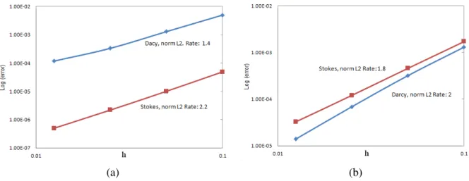Fig. 3 – Taux de convergence dans les domaines de Stokes et Darcy : (a) vitesse, (b) pression