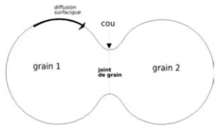 Figure 1 – Transfert de matière par diffusion surfacique entre deux grains identiques.